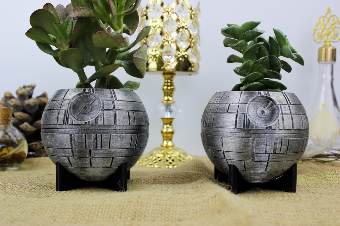 Death Star planter with succulents